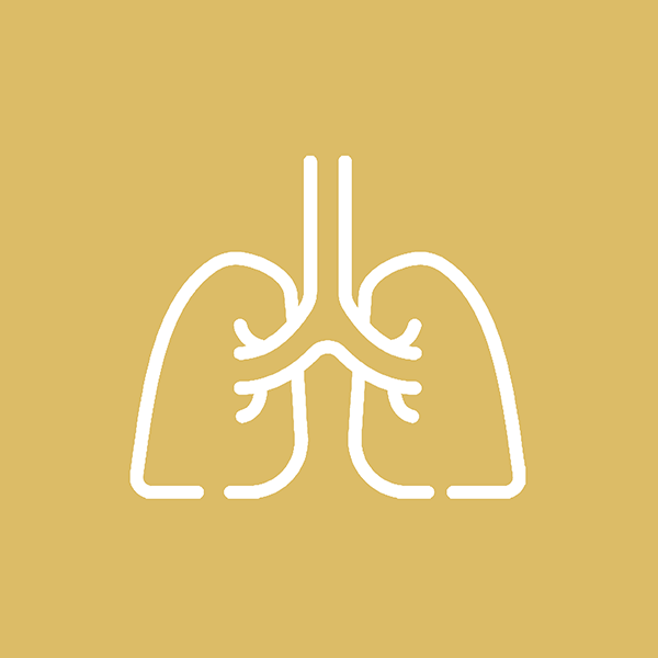 Pulmonology 's logo